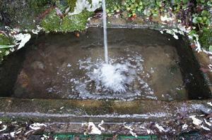 平沢の弘法水の写真
