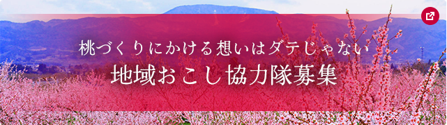 桃づくりにかける想いはダテじゃない 地域おこし協力隊募集