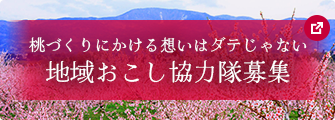 桃づくりにかける想いはダテじゃない 地域おこし協力隊募集