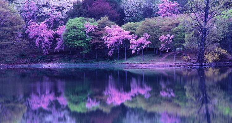 半田湖