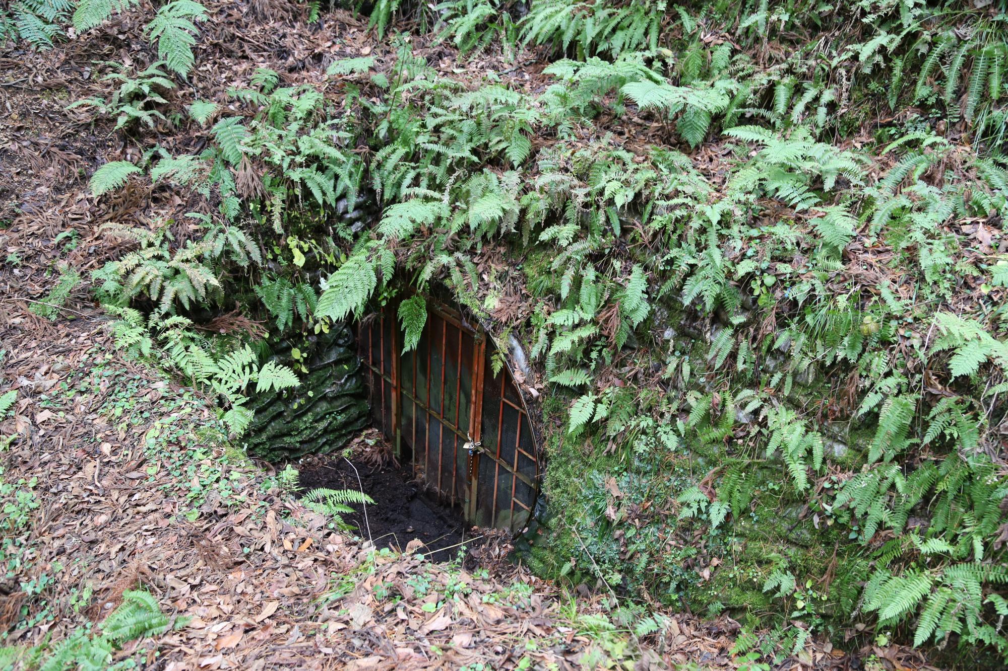 中鋪(なかしき)坑口