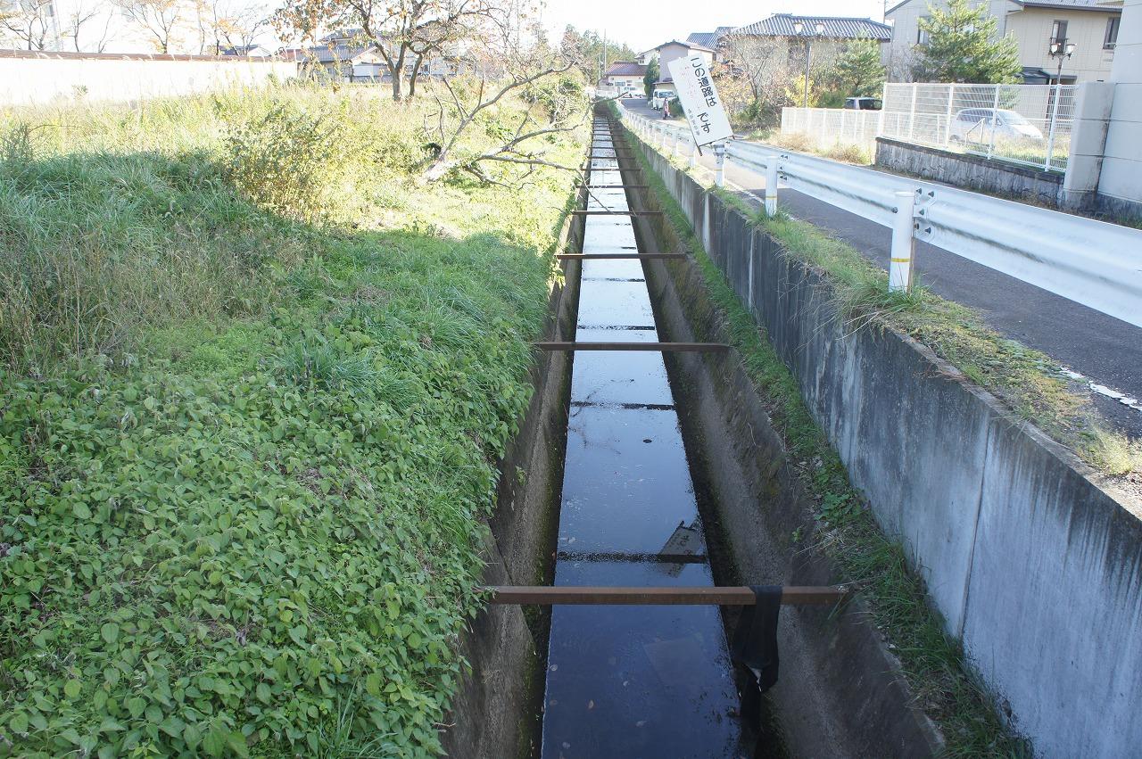 西根堰の通水の写真