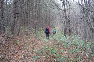 登山道の写真