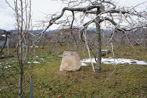 果樹畑の中にある一本石の写真