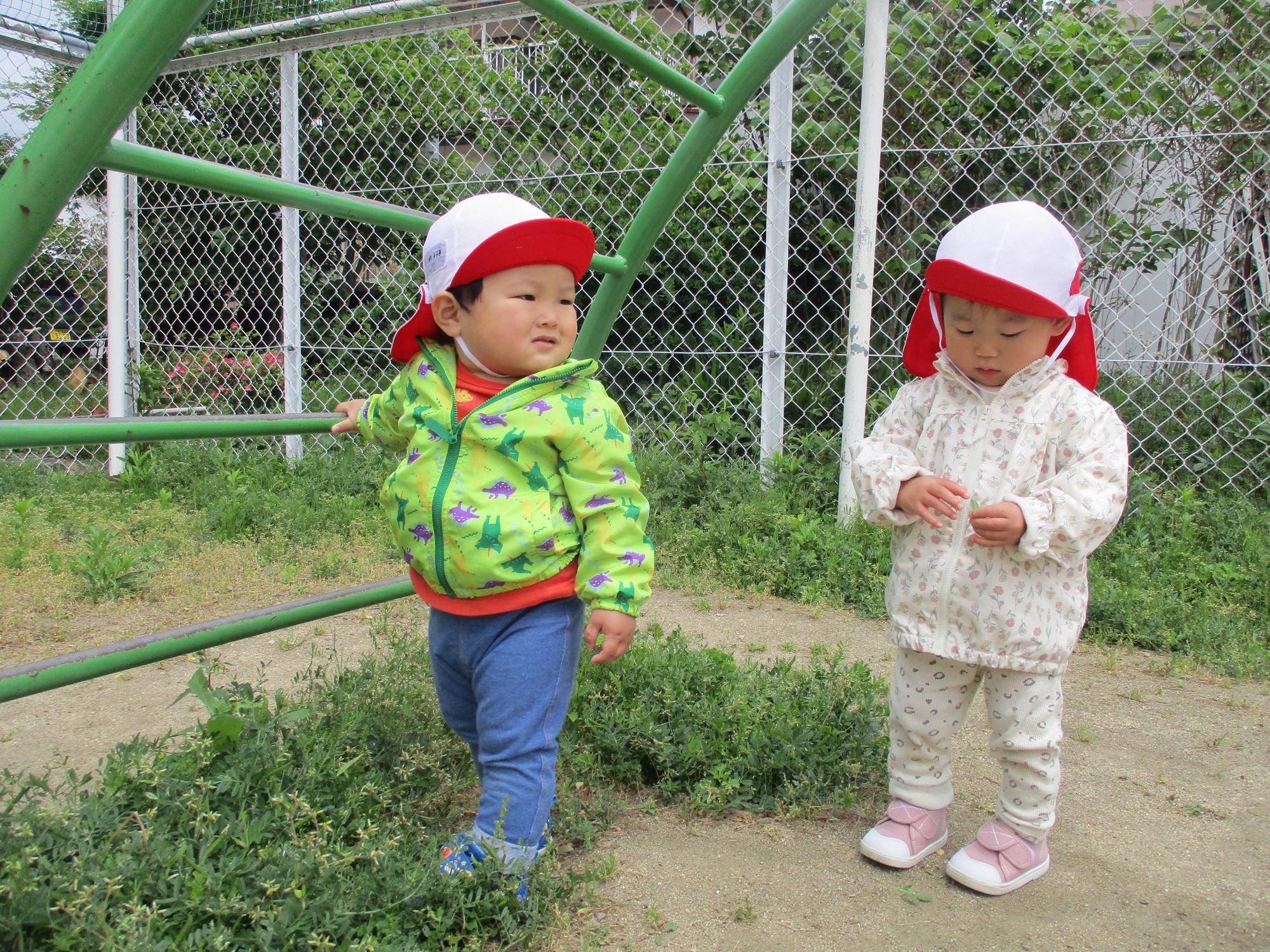 十七