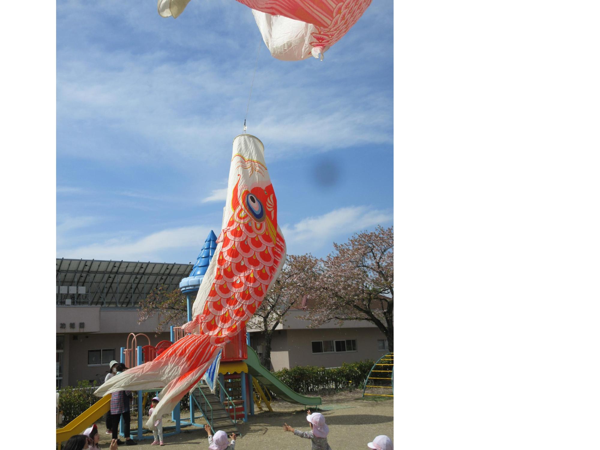 五十五