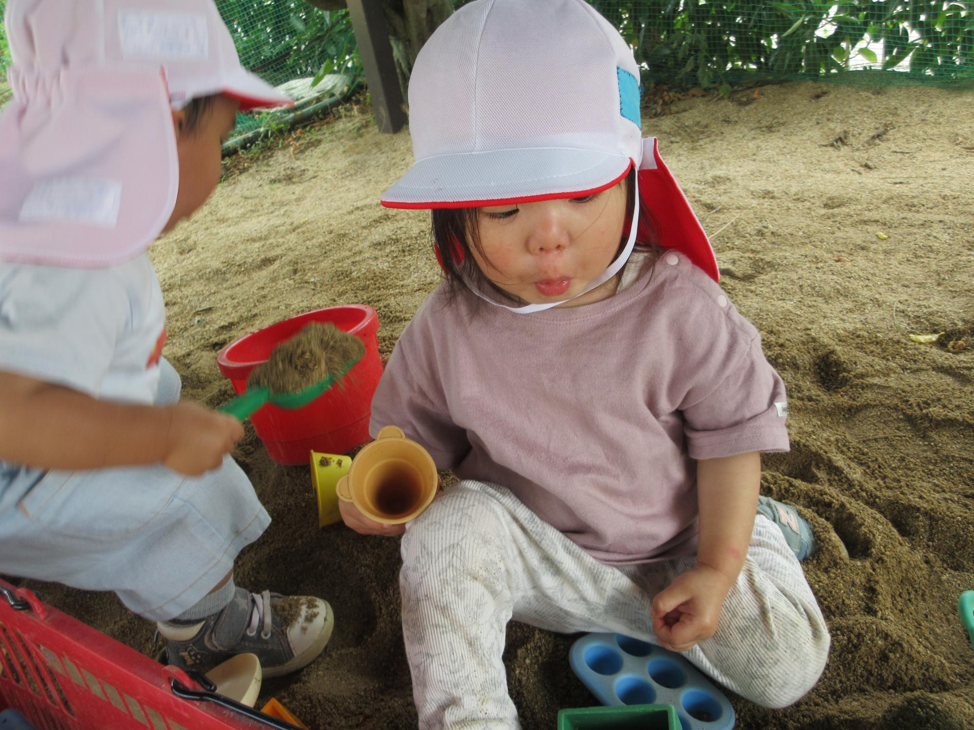 十七