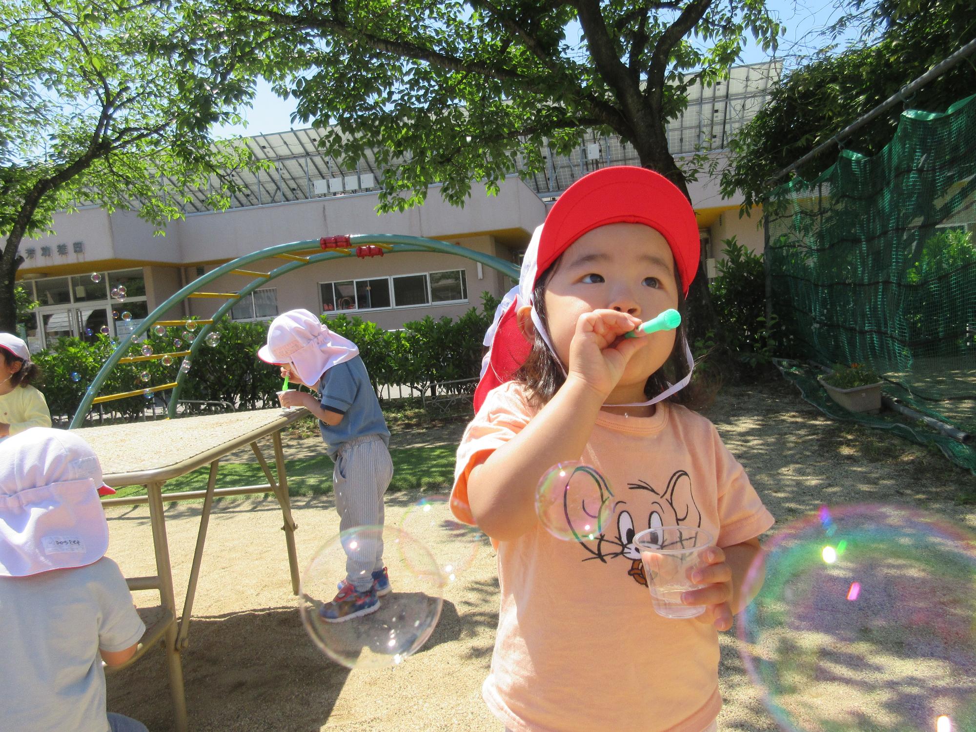 二十七