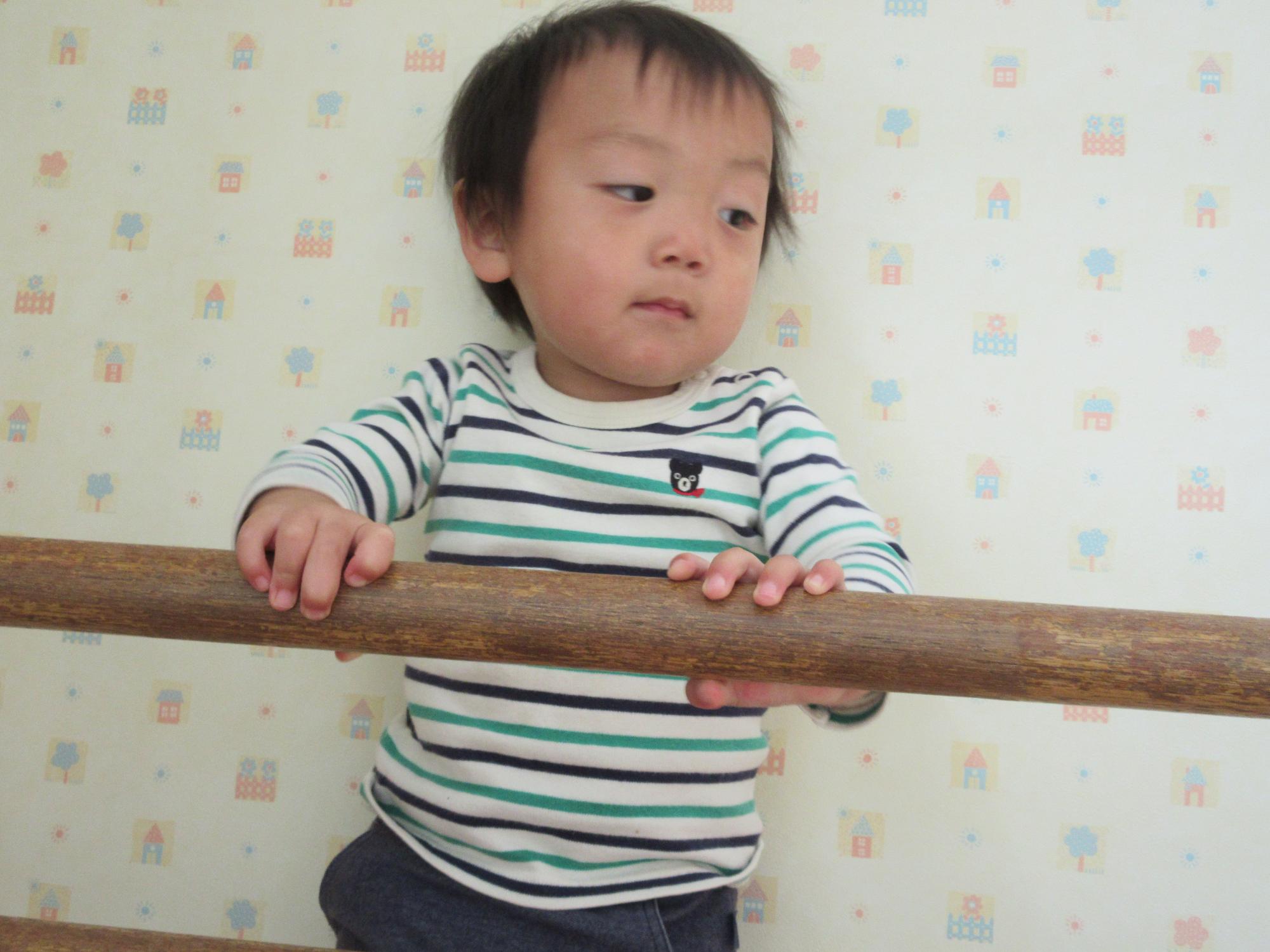 四十一