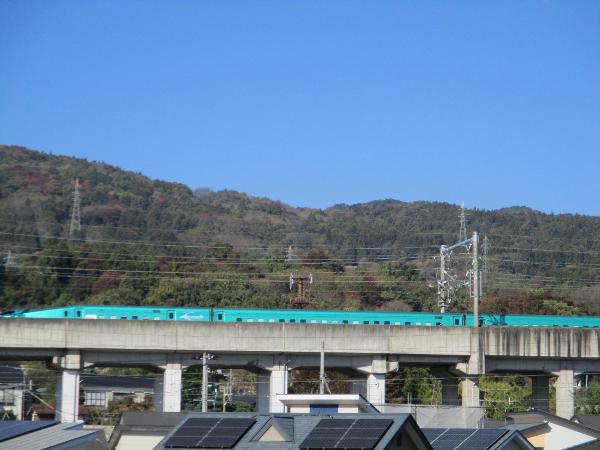 例