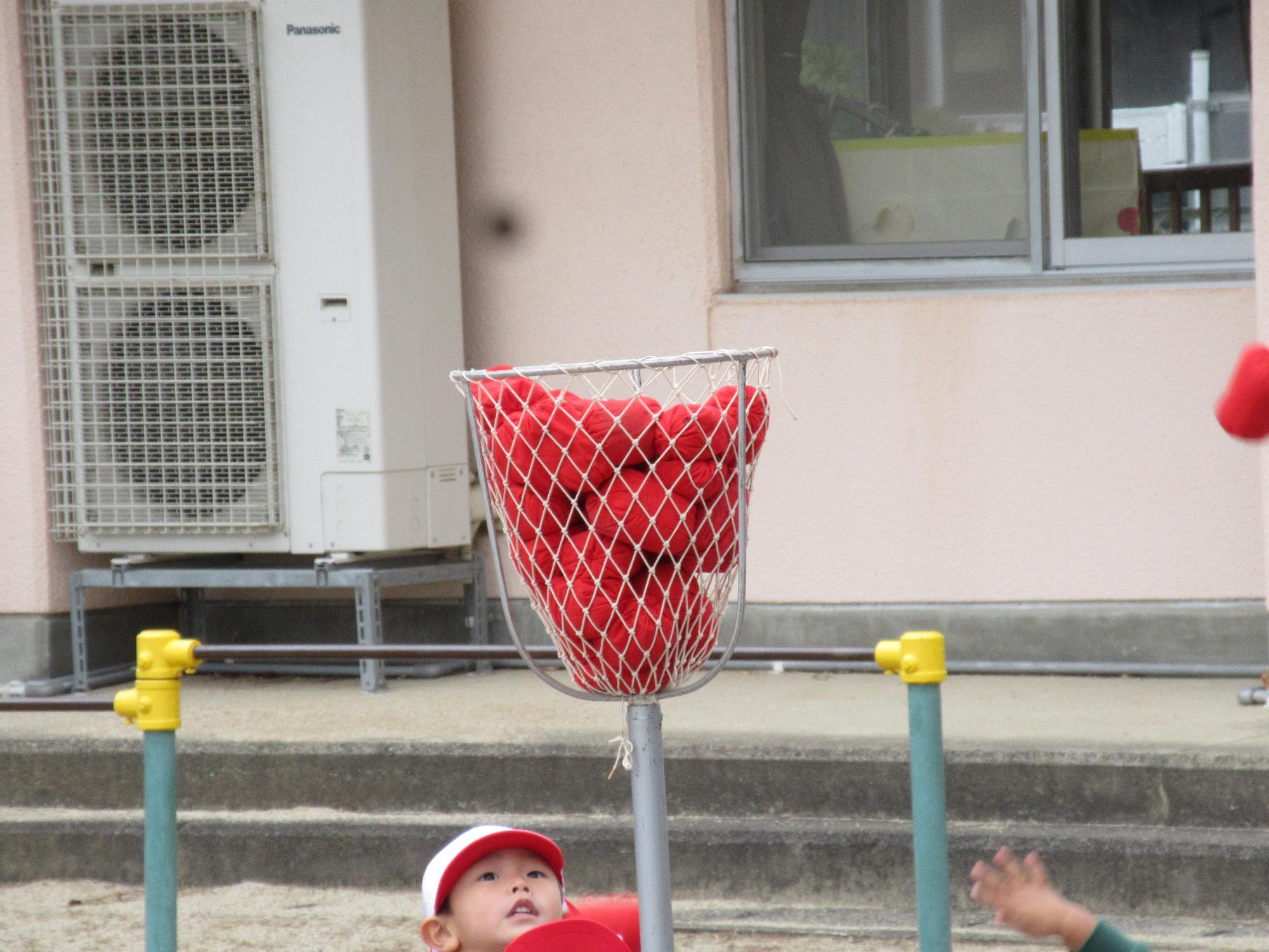 八十一