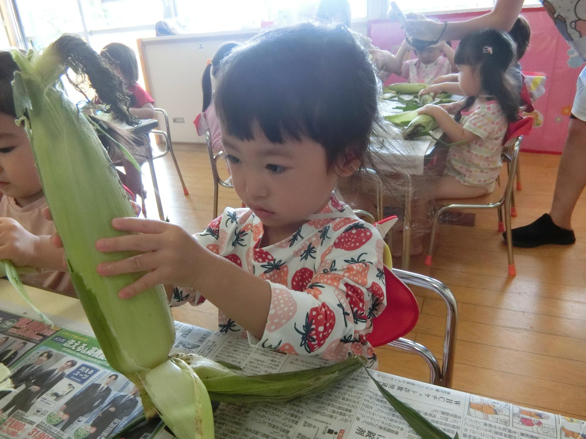 十七