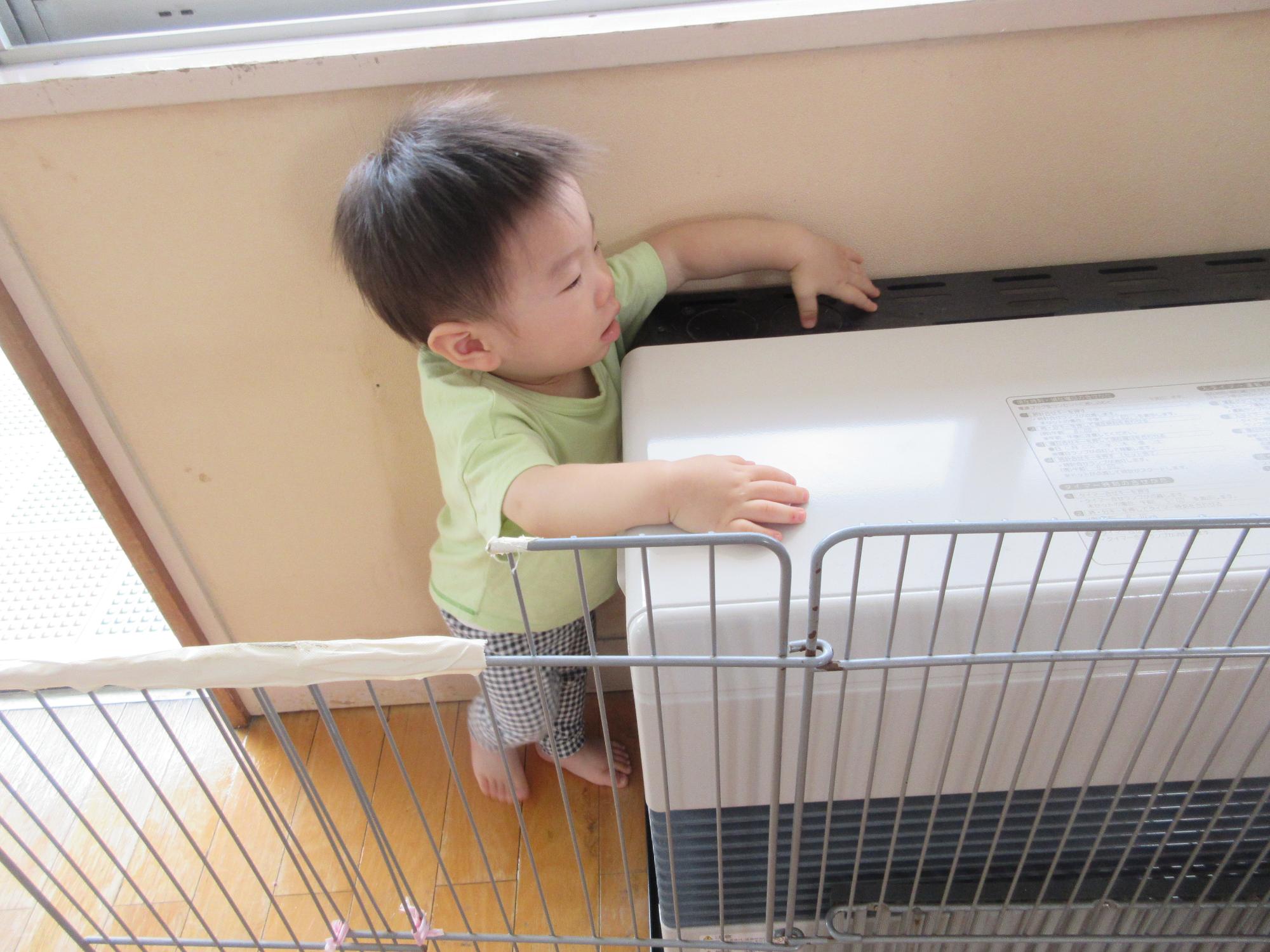伶菜菜
