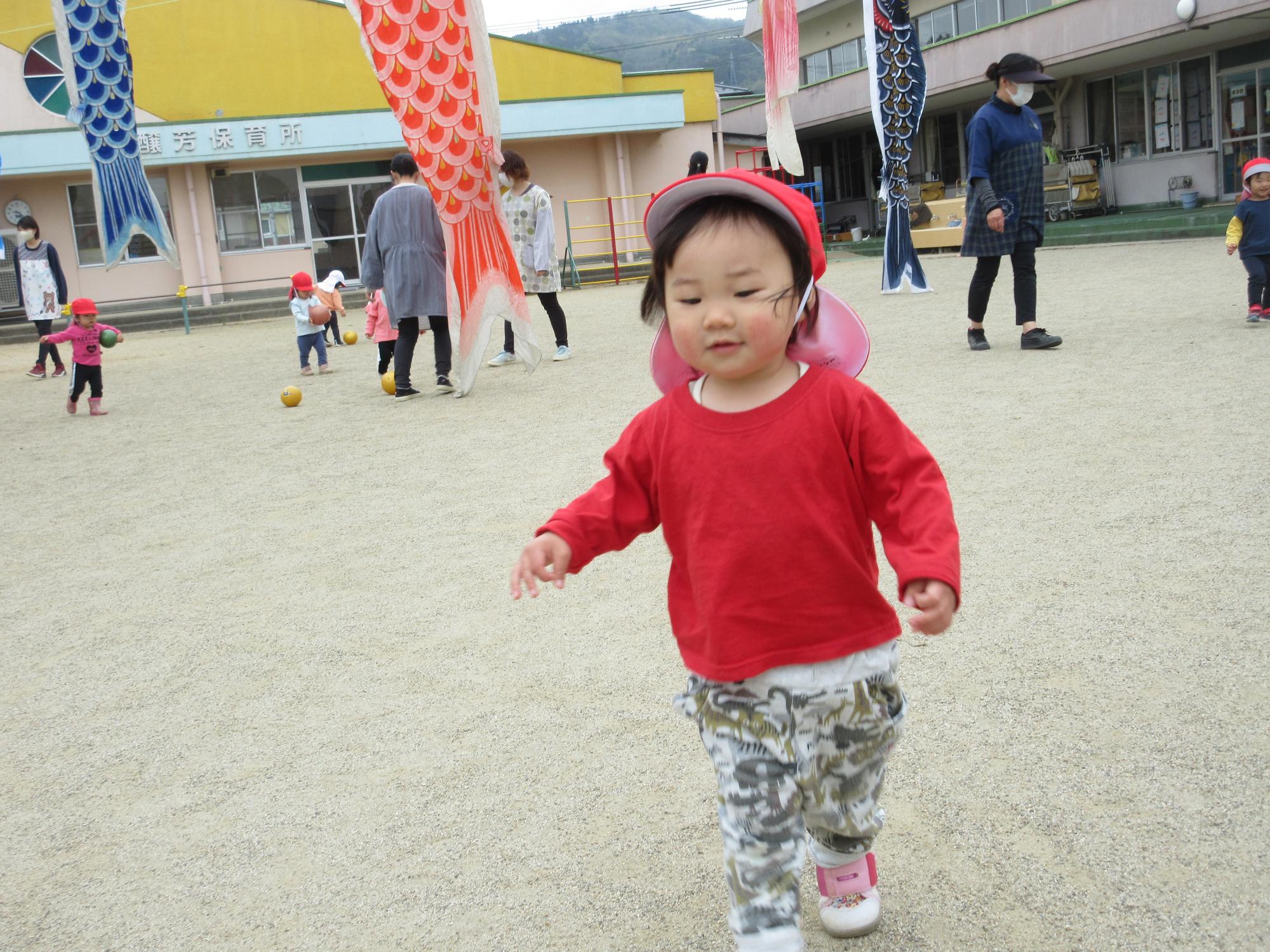 五六