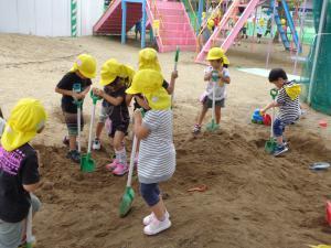 園児たちが砂場で大きなスコップを使って、穴を掘っている写真