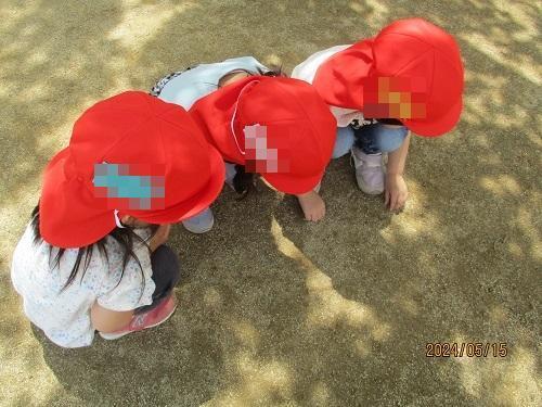 6665541