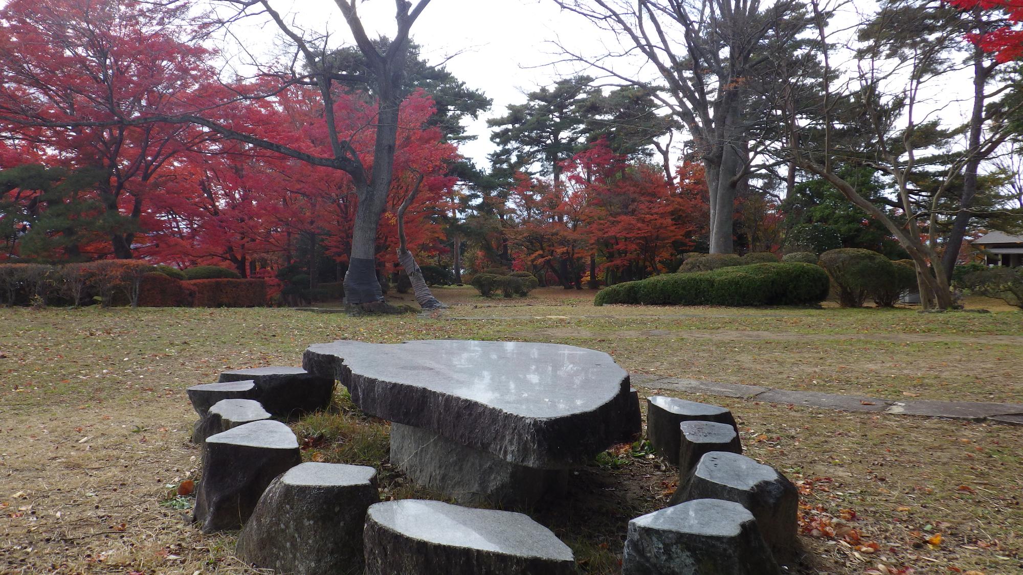 陣屋の杜公園写真2