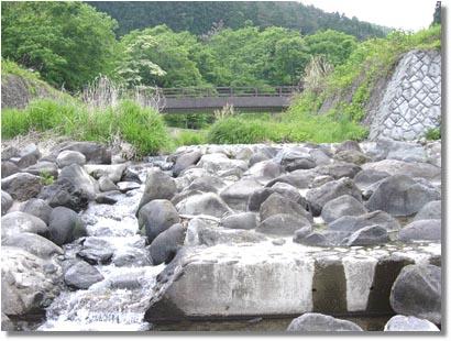 産ヶ沢川の写真