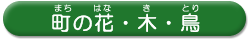 ̉ԁE؁E