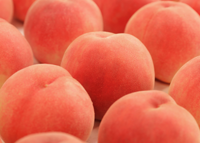 ピックアップ情報01