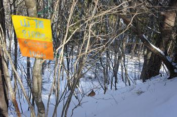 半田山登山道の写真