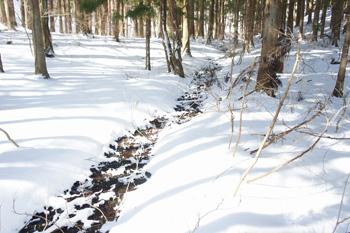 雪が直線状に溶けている様子の写真