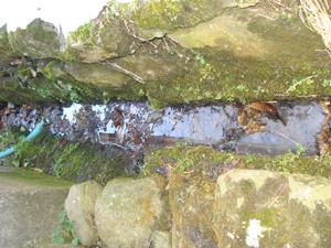 笹屋の裏の細い水路を湧水が流れている様子の写真