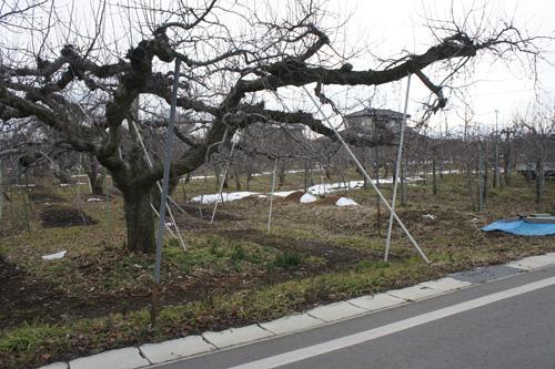 伊達市伏黒字一本石周辺の写真