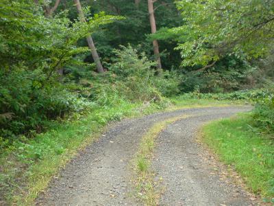 産ヶ沢線の道の写真