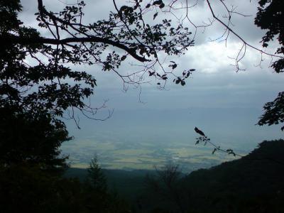 眼下に広がる黄金色に染まる谷地地区の写真