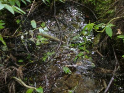 石碑の下から水が湧き出ている写真