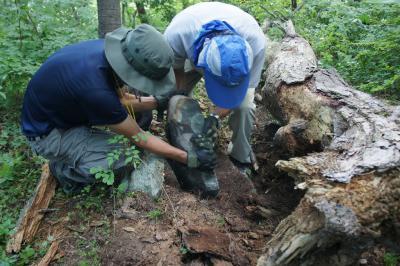 木下の石塔を立て直す様子の写真