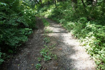 西山林道の写真