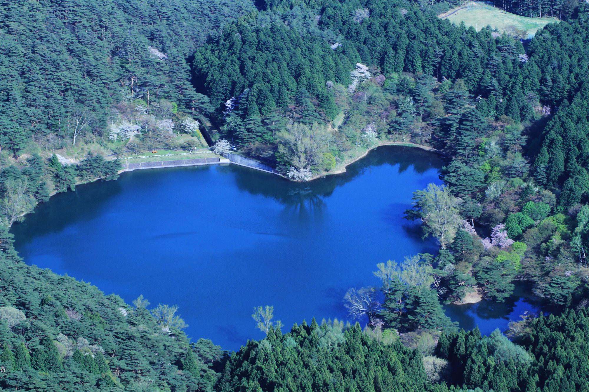 半田山自然公園の写真
