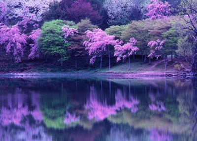 ピックアップ情報03