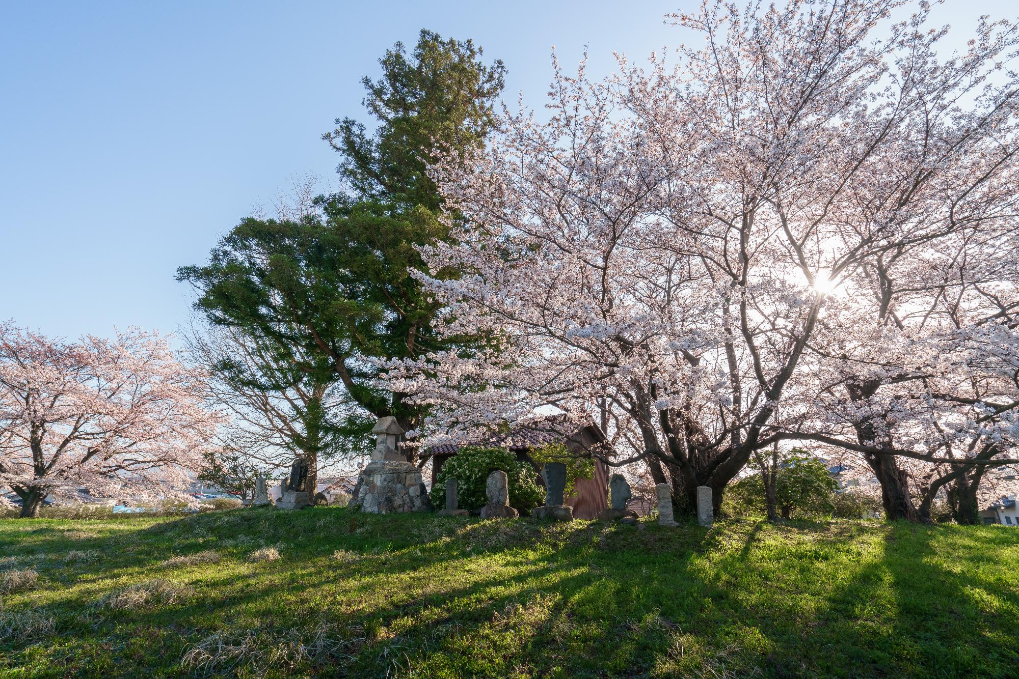 つつじヶ丘史跡公園1