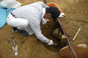 第2次、3次、5次発掘調査1