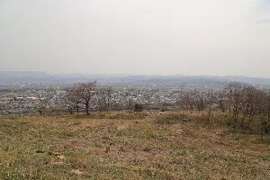 平成29年度 史跡桑折西山城跡整備事業2