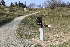 令和元年度（平成31年度） 史跡桑折西山城跡整備事業1