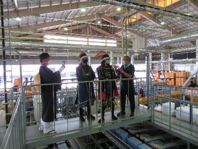 伊達果実農業協同組合の佐藤組合長から桃の選果の説明を受ける