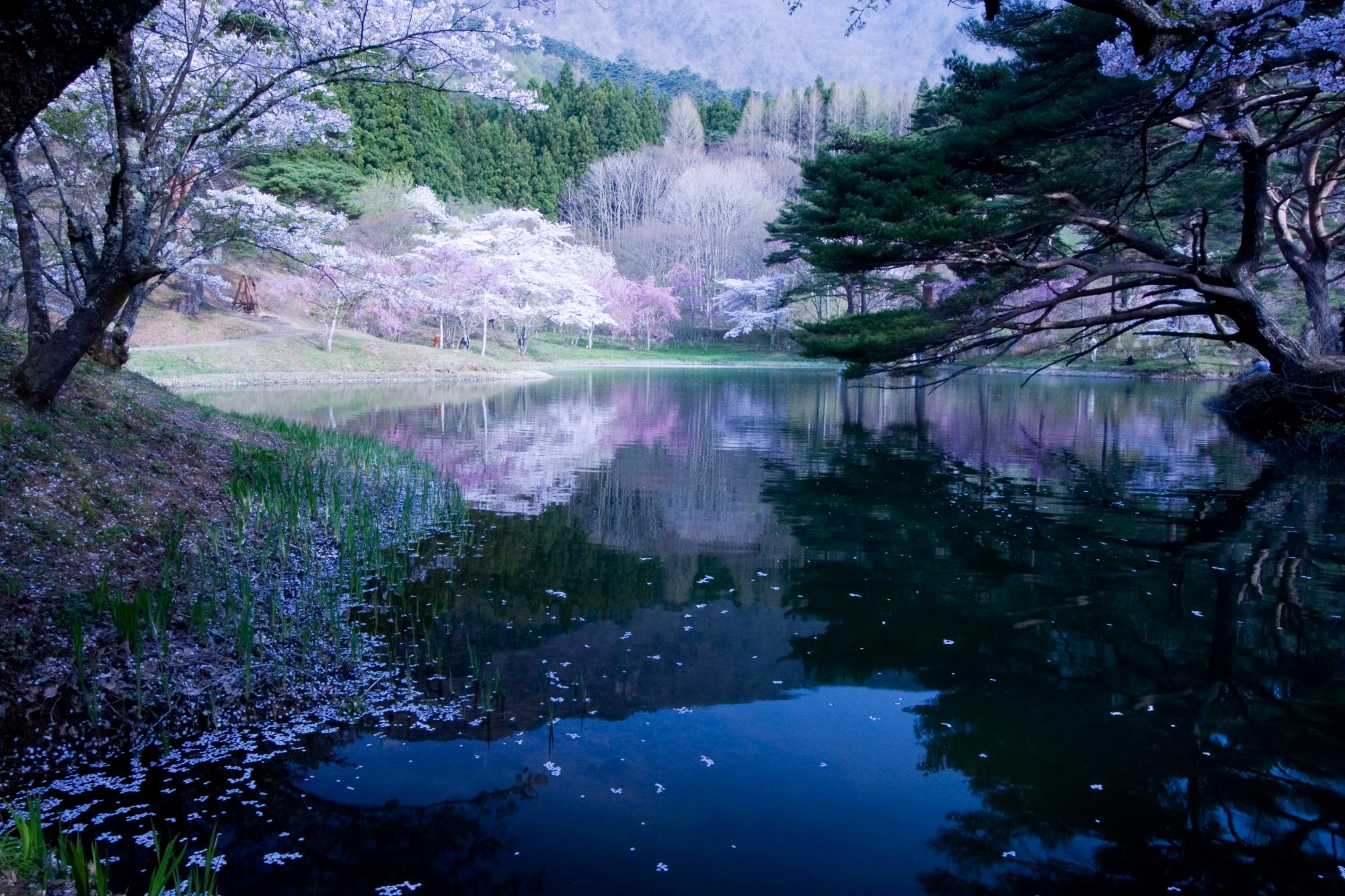 半田山自然公園の画像3