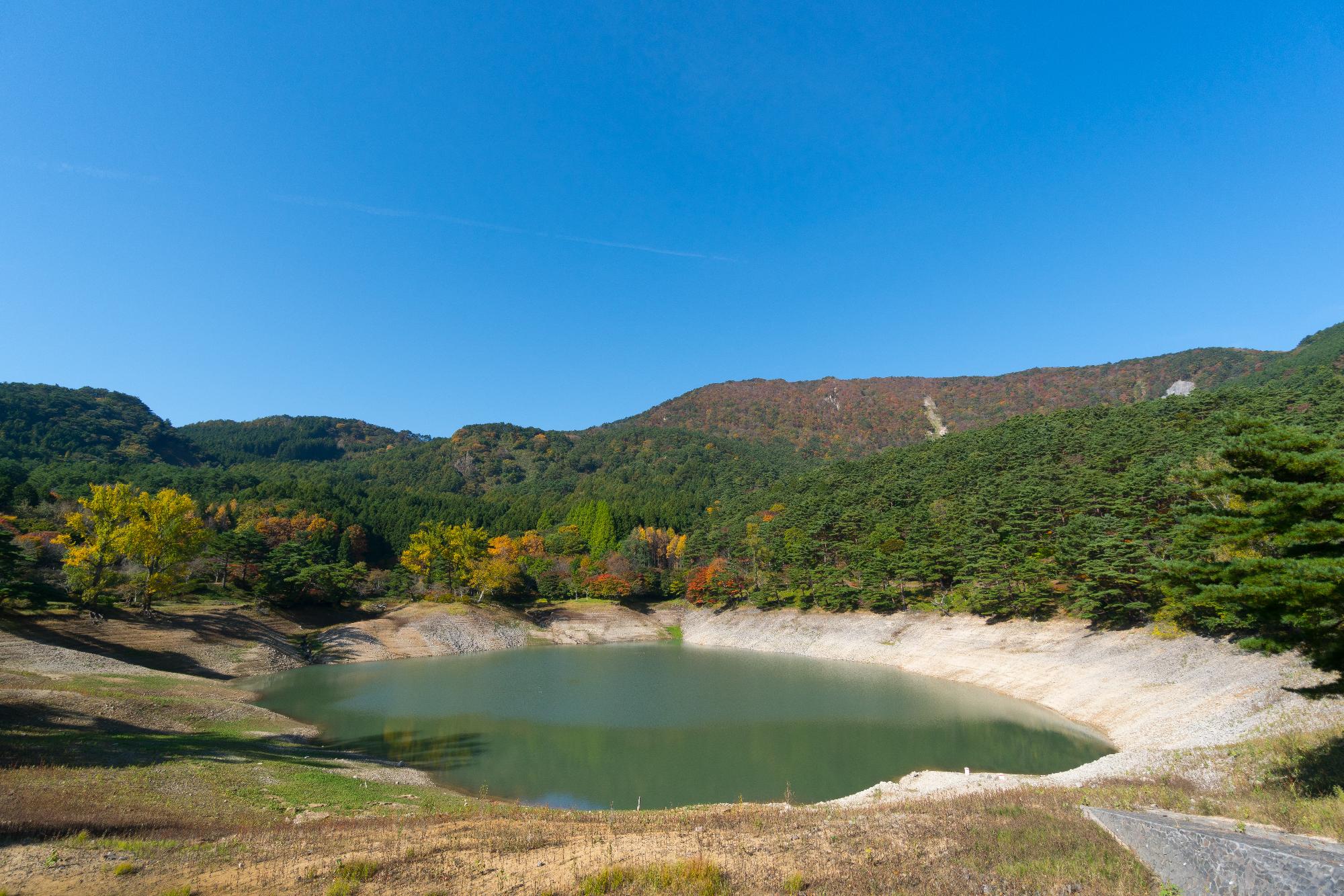 半田山自然公園の画像2