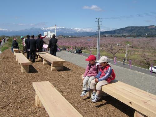 「堤防上から桃源郷を楽しむ」写真