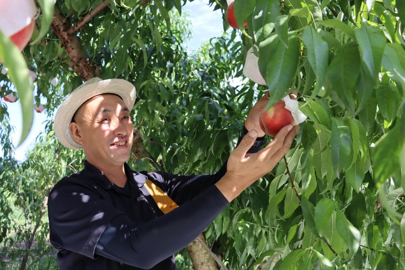 蓬田宗由(よもぎたむねよし)さんの写真