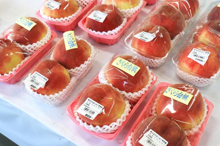 JAふくしま未来「桑折フレッシュBOX」直売所の写真0902-1