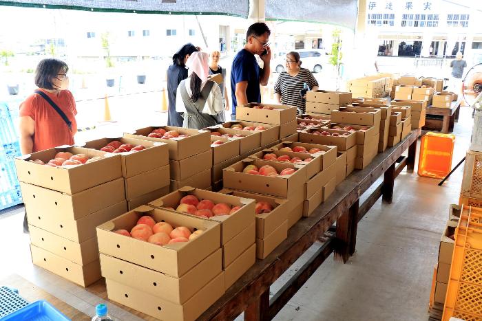 伊達果実農業協同組合「だてかベジフル」直売所の写真0902-1