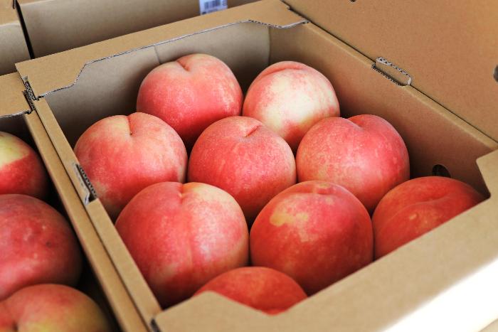 箱詰めされた桃