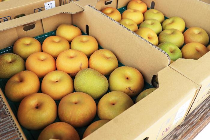 箱詰めされた梨
