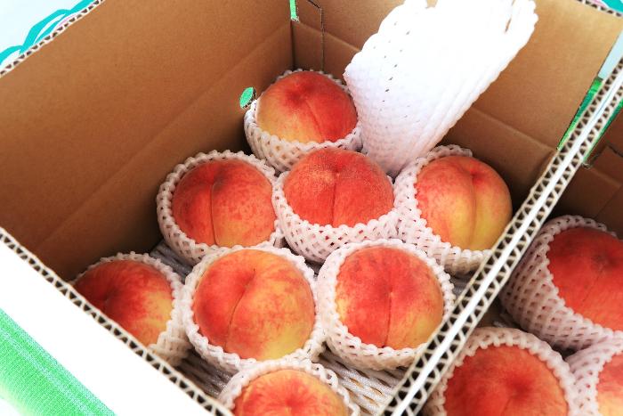 贈答品コーナー（北側）4