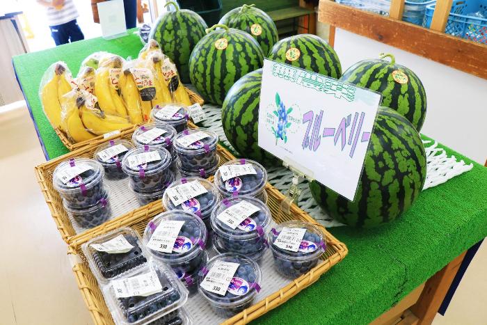 その他の果物・野菜コーナー（室内）2